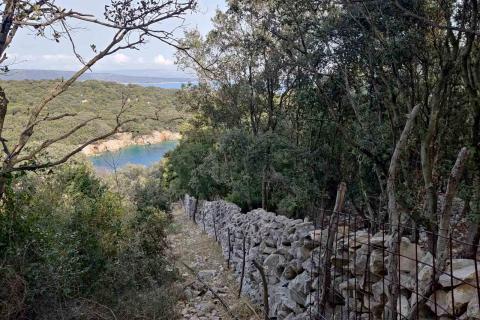 OTOK CRES - NEGRAĐEVINSKO ZEMLJIŠTE UZ MORE