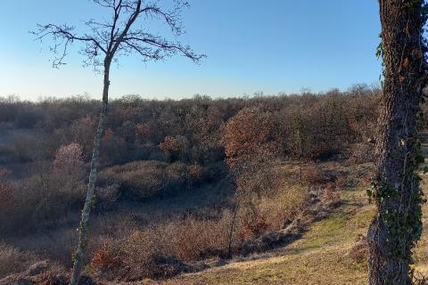 Земельный участок нестроительного назначения Mrgani, Kanfanar, 8.412m2