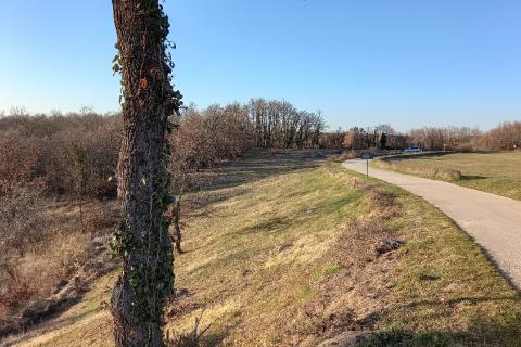 Земельный участок нестроительного назначения Mrgani, Kanfanar, 8.412m2