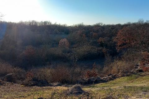 Земельный участок нестроительного назначения Mrgani, Kanfanar, 8.412m2