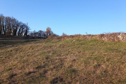 Земельный участок нестроительного назначения Mrgani, Kanfanar, 8.412m2