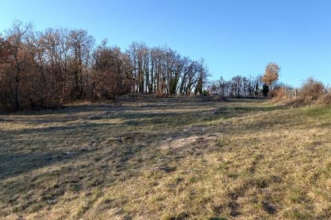 Земельный участок нестроительного назначения Mrgani, Kanfanar, 8.412m2