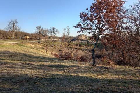 Земельный участок нестроительного назначения Mrgani, Kanfanar, 8.412m2