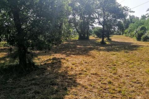 Poreč, Nova Vas - Građevinsko zemljište 