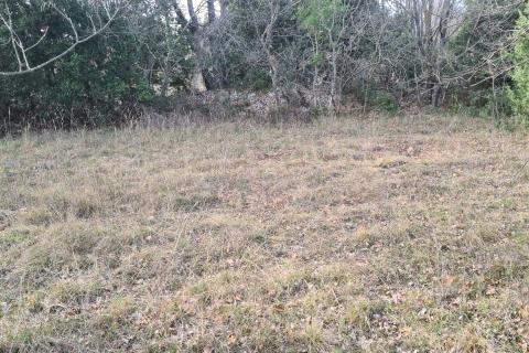 Rakalj , poljoprivredno zemljište površine 14433 m2