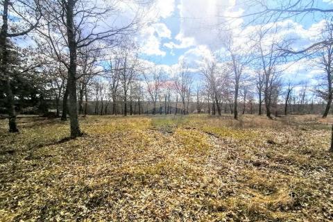 Земельный участок строительного назначения Baldaši, Vižinada, 8.770m2