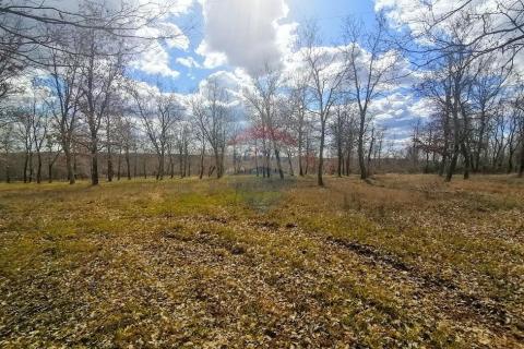 Земельный участок строительного назначения Baldaši, Vižinada, 8.770m2