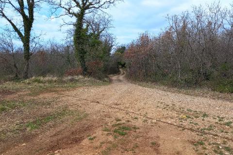 Земельный участок строительного назначения Vodnjan, 18.713m2