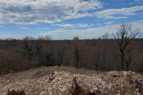 Земельный участок строительного назначения Vodnjan, 18.713m2