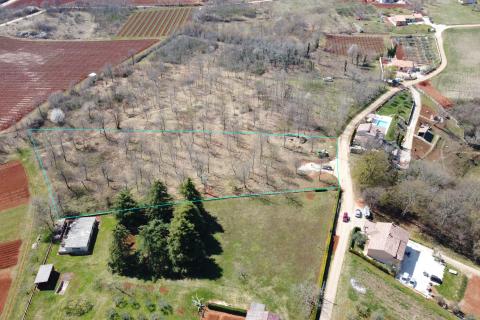 Земельный участок строительного назначения Baldaši, Vižinada, 8.770m2