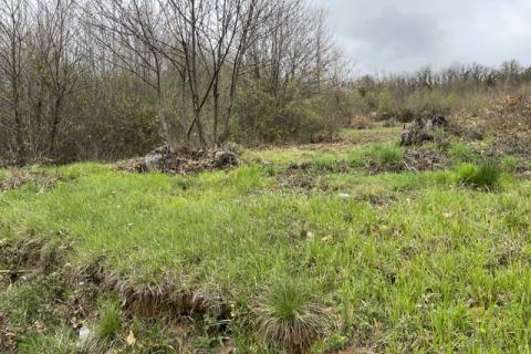 Poljane, Opatija - Okolica, 1.517m2