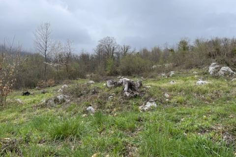 Poljane, Opatija - Okolica, 1.517m2