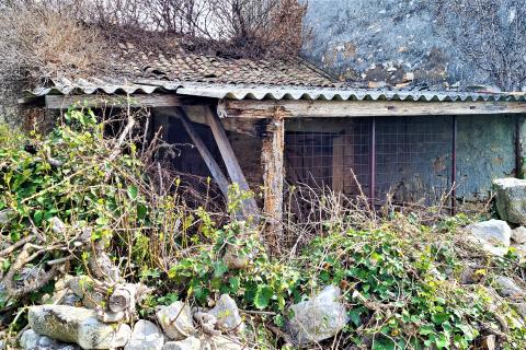 Hi&scaron;a Triban, Buje, 26m2