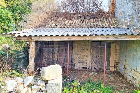 Hi&scaron;a Triban, Buje, 26m2