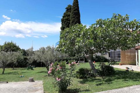 Šijana, odlična prilika, kuća sa velikim potencijalom, na odličnoj lokaciji