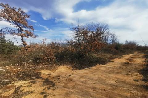 Marčana, negrađevinsko vikend zemljište 441m2