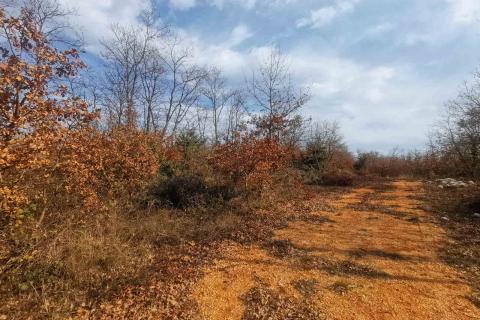 Marčana, negrađevinsko vikend zemljište 441m2