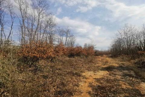 Marčana, negrađevinsko vikend zemljište 436m2