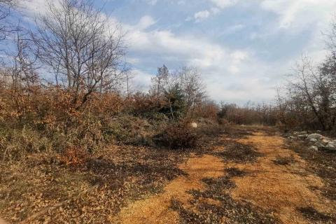 Marčana, negrađevinsko vikend zemljište 436m2