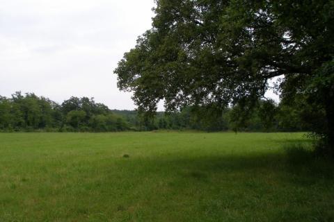 Земельный участок строительного назначения Žminj, 20.000m2