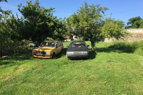 Novaki Motovunski, Karojba, 1.504m2 zemljišće s projektom