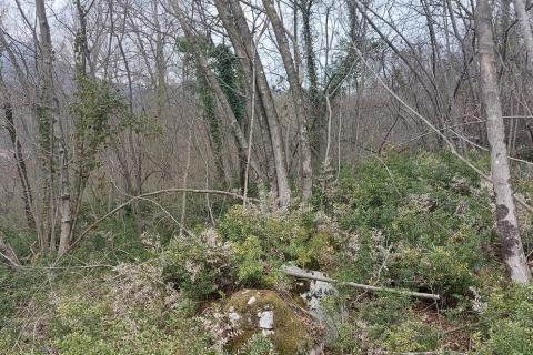 Terreno edificabile Ičići, Opatija - Okolica, 2.150m2