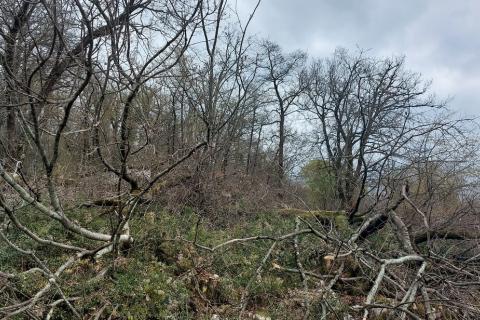 Terreno edificabile Ičići, Opatija - Okolica, 2.150m2