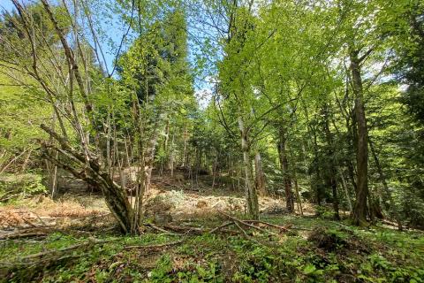 Brod na Kupi - poljoprivredni teren 1590 m2