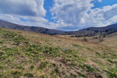 Terreno edificabile Begovo Razdolje, Mrkopalj, 5.000m2