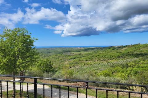 Istra, autohtona kuća u nizu u okolici Buja