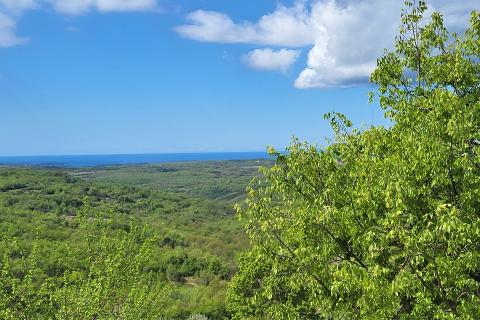 Istra, autohtona kuća u nizu u okolici Buja