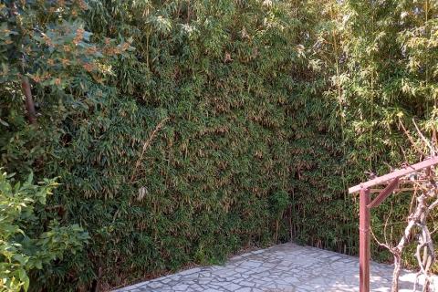 Дом okolica Pule, Pula, 300m2