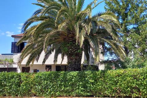 Дом okolica Pule, Pula, 300m2