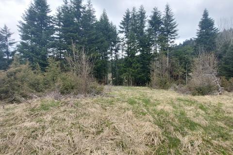 Terreno non edificabile Stari Laz, Ravna Gora, 30,75m2