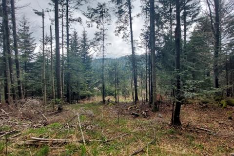 Terreno non edificabile Stari Laz, Ravna Gora, 30,75m2