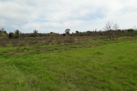 Земельный участок нестроительного назначения Medulin, 1.654m2