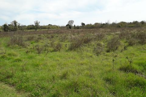 Земельный участок нестроительного назначения Medulin, 1.654m2