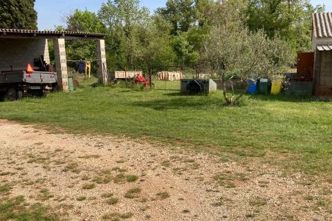 Hiša Košutići, Višnjan, 200m2