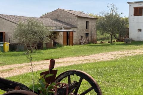 Hiša Košutići, Višnjan, 200m2