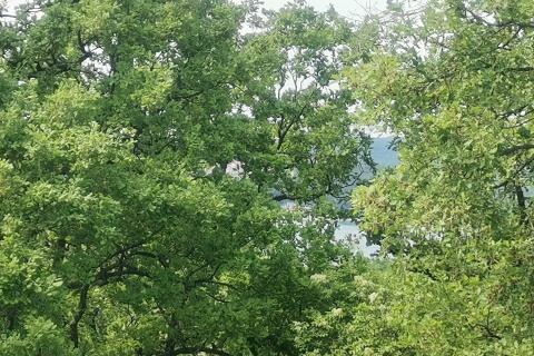 OTOK KRK,DOBRINJ-kuća sa tri apartmana i građevinskim terenom 