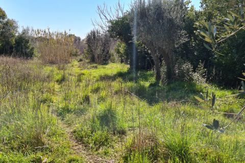 Земельный участок нестроительного назначения Premantura, Medulin, 662m2