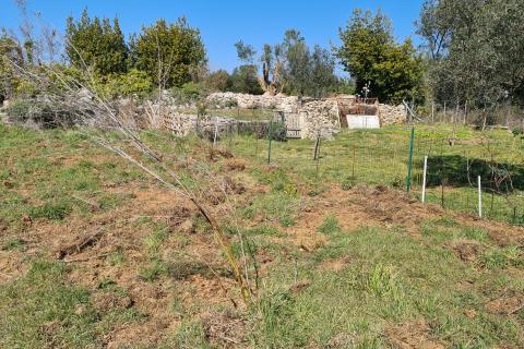 Земельный участок нестроительного назначения Premantura, Medulin, 662m2