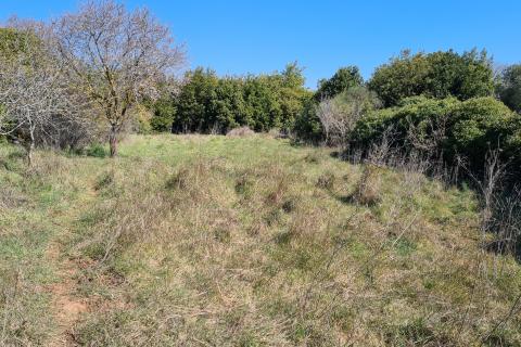 Земельный участок нестроительного назначения Premantura, Medulin, 662m2