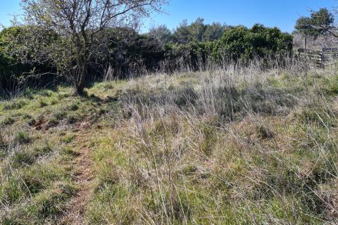 Земельный участок нестроительного назначения Premantura, Medulin, 662m2