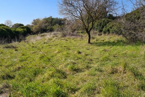 Земельный участок нестроительного назначения Premantura, Medulin, 662m2