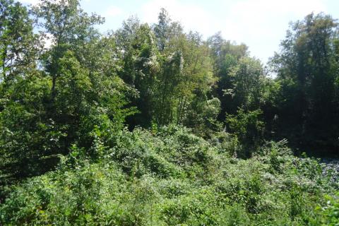 Nicht-strukturelle Land Veli Brgud, Matulji, 953m2