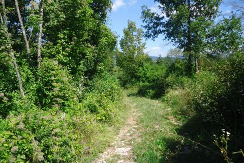 Nicht-strukturelle Land Veli Brgud, Matulji, 953m2