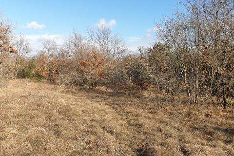 Istra, Juršići – Kmetijsko Zemljišče 19.770 m²