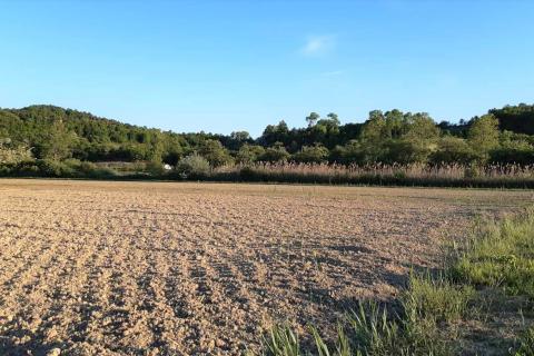 Istra, Cerovlje, poljoprivredno zemljište 18775m2