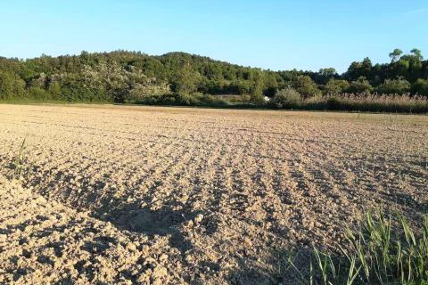 Istra, Cerovlje, poljoprivredno zemljište 18775m2